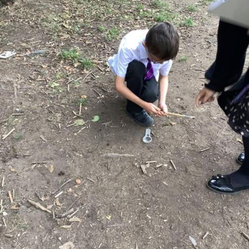 Exploring the school grounds on our invertebrate search!